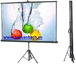 Màn chiếu chân 120 inch Dalite màn hình máy chiếu chuyên nghiệp